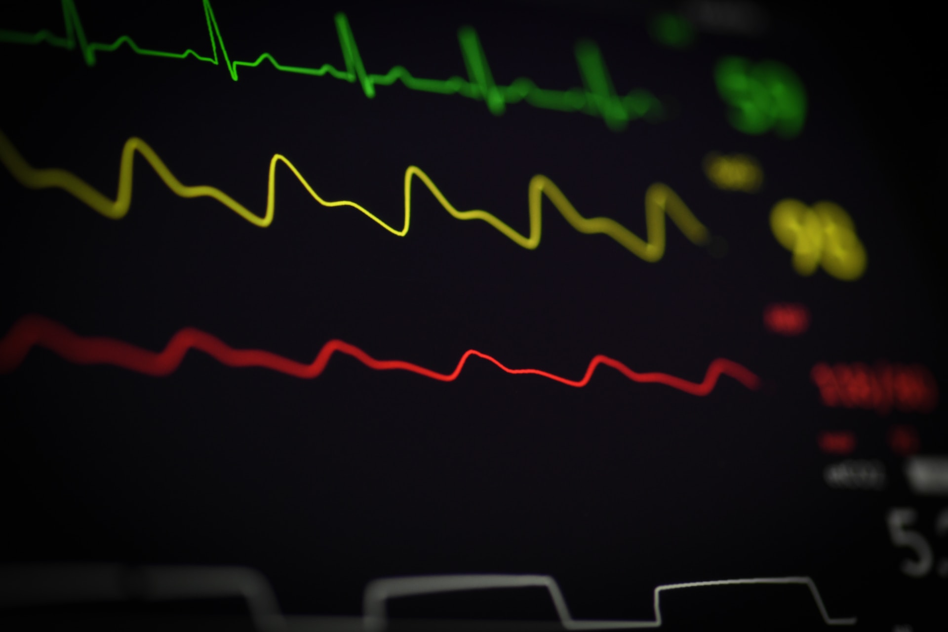 joshua-chehov-ZSo4axN3ZXI-unsplash joshua-chehov-ZSo4axN3ZXI-unsplash
