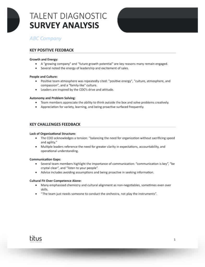 Talent Diagnostic 1